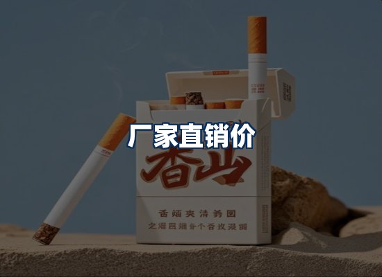 专业团队办公环境